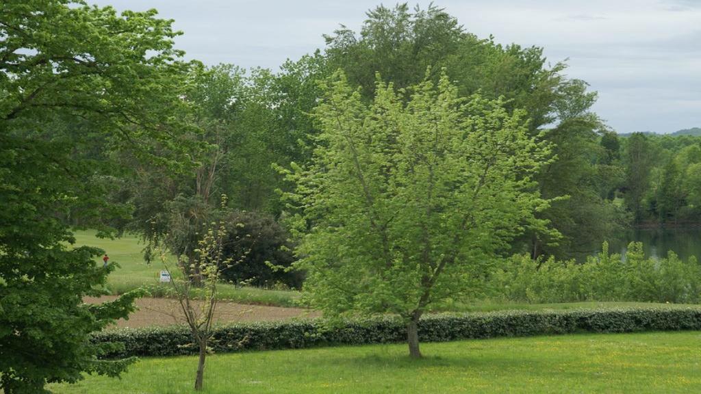 Maison D'Hotes Chateau De Lastours Espalais 外观 照片